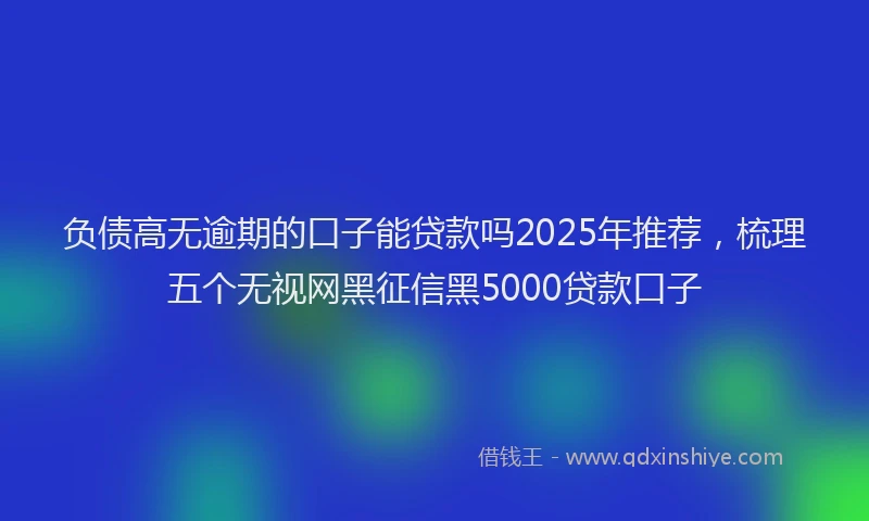 负债高无逾期的口子能贷款吗2025年推荐，梳理五个无视网黑征信黑5000贷款口子