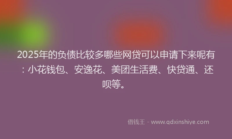 2025年的负债比较多哪些网贷可以申请下来呢有：小花钱包、安逸花、美团生活费、快贷通、还呗等。