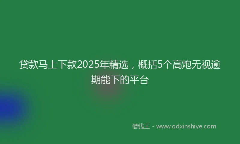 贷款马上下款2025年精选，概括5个高炮无视逾期能下的平台