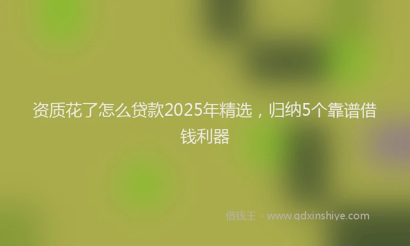 资质花了怎么贷款2025年精选，归纳5个靠谱借钱利器