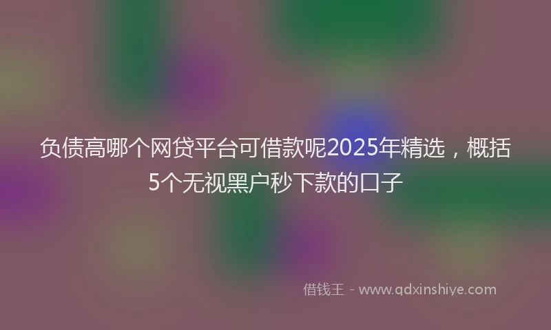 负债高哪个网贷平台可借款呢2025年精选，概括5个无视黑户秒下款的口子