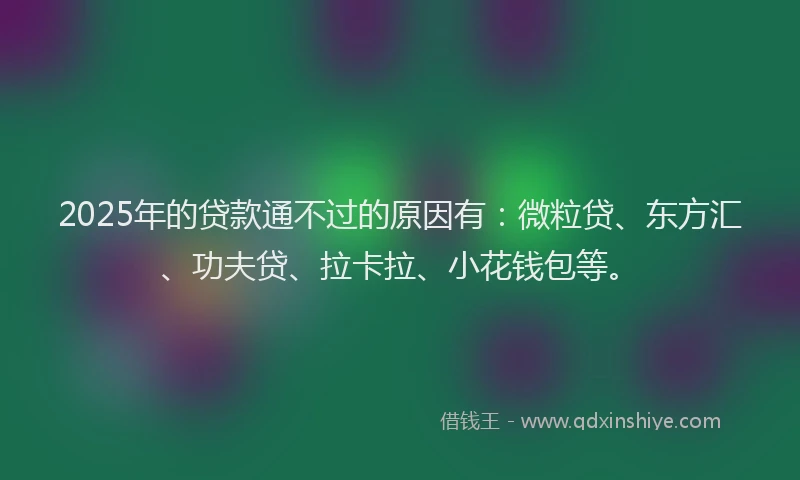 2025年的贷款通不过的原因有：微粒贷、东方汇、功夫贷、拉卡拉、小花钱包等。