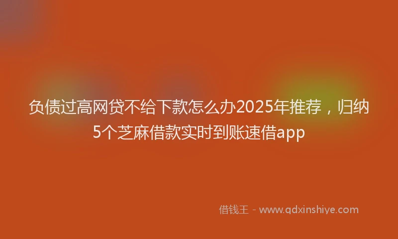 负债过高网贷不给下款怎么办2025年推荐，归纳5个芝麻借款实时到账速借app