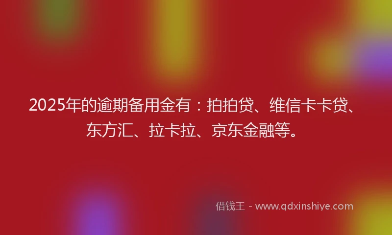 2025年的逾期备用金有：拍拍贷、维信卡卡贷、东方汇、拉卡拉、京东金融等。