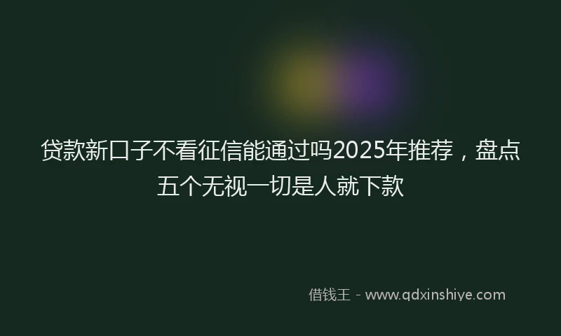 贷款新口子不看征信能通过吗2025年推荐，盘点五个无视一切是人就下款