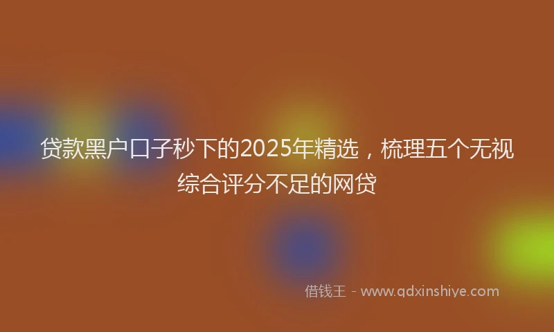 贷款黑户口子秒下的2025年精选，梳理五个无视综合评分不足的网贷