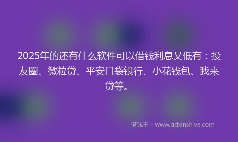 2025年的还有什么软件可以借钱利息又低有：投友圈、微粒贷、平安口袋银行、小花钱包、我来贷等。