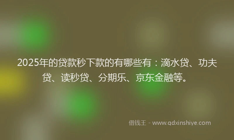 2025年的贷款秒下款的有哪些有：滴水贷、功夫贷、读秒贷、分期乐、京东金融等。