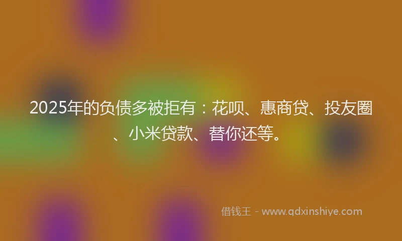 2025年的负债多被拒有：花呗、惠商贷、投友圈、小米贷款、替你还等。
