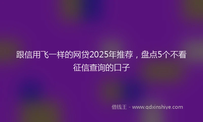 跟信用飞一样的网贷2025年推荐，盘点5个不看征信查询的口子