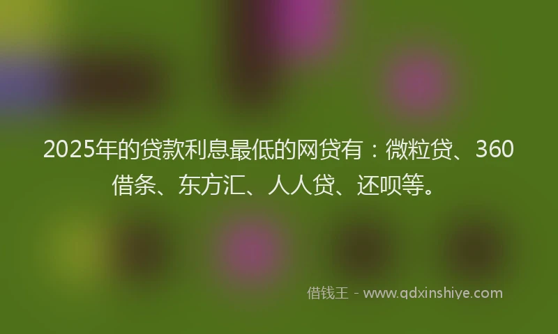 2025年的贷款利息最低的网贷有：微粒贷、360借条、东方汇、人人贷、还呗等。