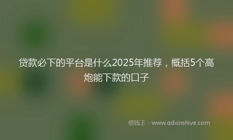 贷款必下的平台是什么2025年推荐，概括5个高炮能下款的口子