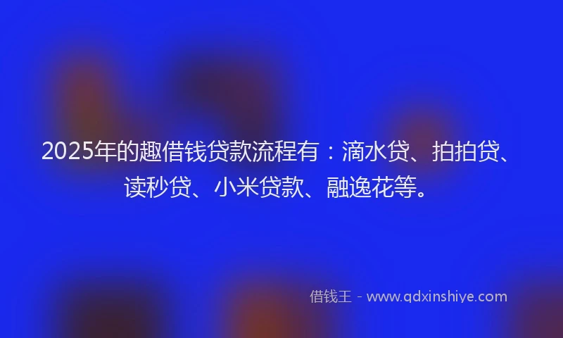 2025年的趣借钱贷款流程有：滴水贷、拍拍贷、读秒贷、小米贷款、融逸花等。