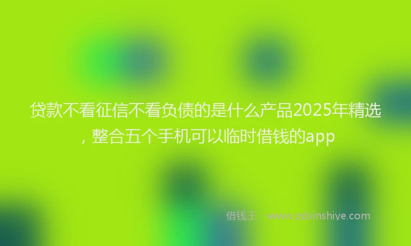 贷款不看征信不看负债的是什么产品2025年精选，整合五个手机可以临时借钱的app