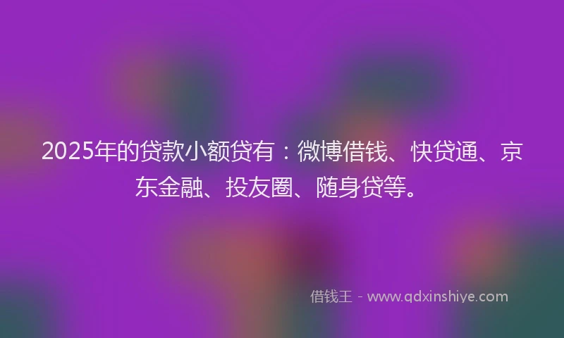 2025年的贷款小额贷有：微博借钱、快贷通、京东金融、投友圈、随身贷等。