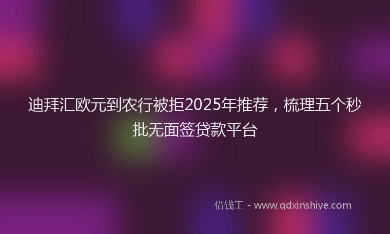 迪拜汇欧元到农行被拒2025年推荐，梳理五个秒批无面签贷款平台