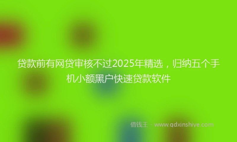 贷款前有网贷审核不过2025年精选，归纳五个手机小额黑户快速贷款软件