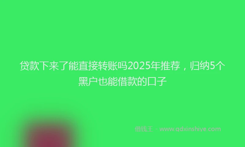 贷款下来了能直接转账吗2025年推荐，归纳5个黑户也能借款的口子