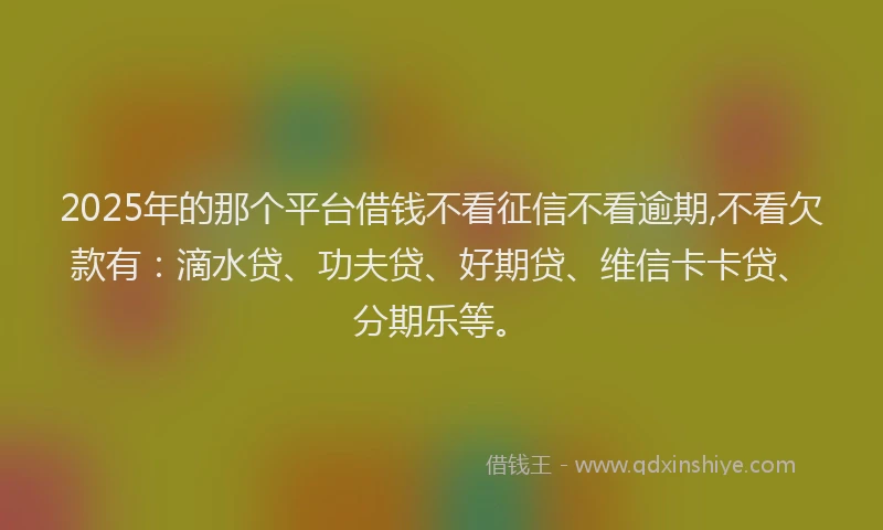 2025年的那个平台借钱不看征信不看逾期,不看欠款有：滴水贷、功夫贷、好期贷、维信卡卡贷、分期乐等。
