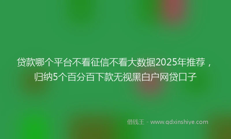 贷款哪个平台不看征信不看大数据2025年推荐，归纳5个百分百下款无视黑白户网贷口子