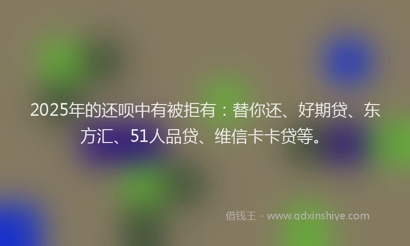 2025年的还呗中有被拒有：替你还、好期贷、东方汇、51人品贷、维信卡卡贷等。