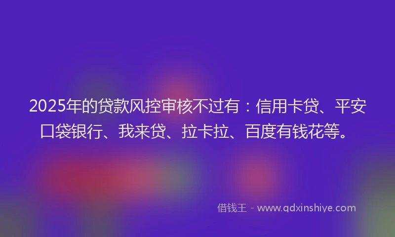 2025年的贷款风控审核不过有：信用卡贷、平安口袋银行、我来贷、拉卡拉、百度有钱花等。
