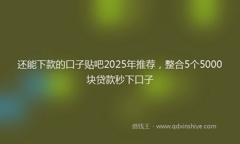 还能下款的口子贴吧2025年推荐，整合5个5000块贷款秒下口子