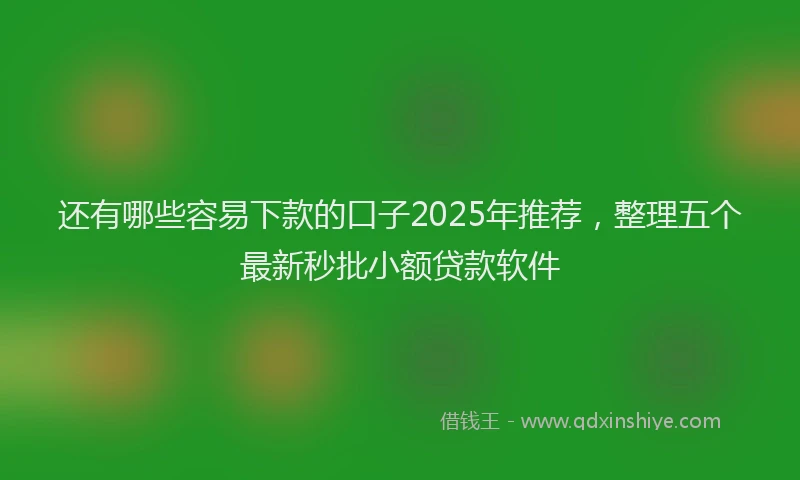 还有哪些容易下款的口子2025年推荐，整理五个最新秒批小额贷款软件