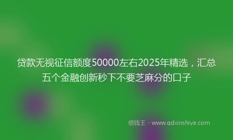 贷款无视征信额度50000左右2025年精选，汇总五个金融创新秒下不要芝麻分的口子