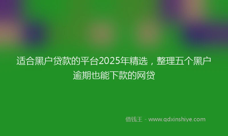 适合黑户贷款的平台2025年精选，整理五个黑户逾期也能下款的网贷