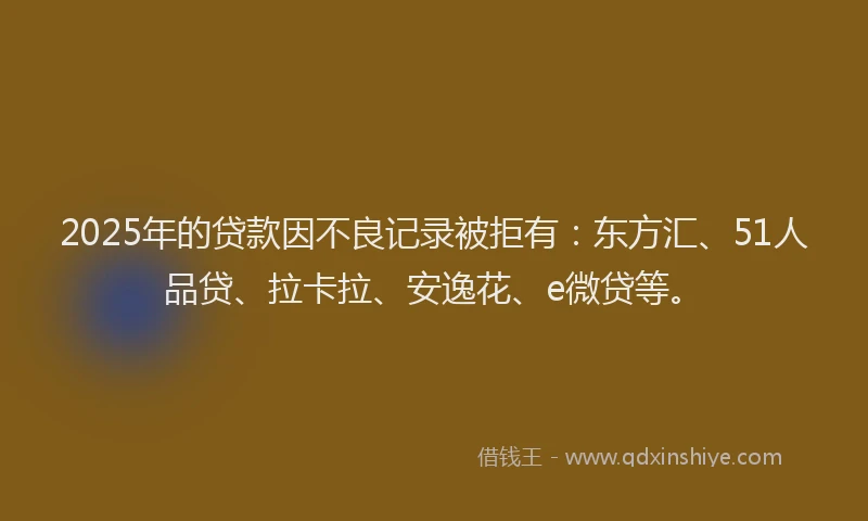 2025年的贷款因不良记录被拒有：东方汇、51人品贷、拉卡拉、安逸花、e微贷等。