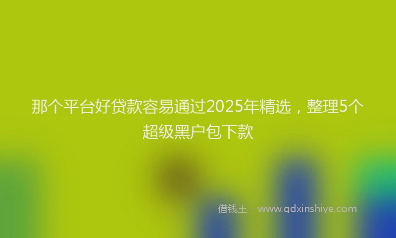那个平台好贷款容易通过2025年精选，整理5个超级黑户包下款