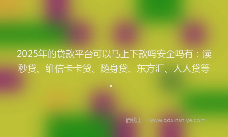 2025年的贷款平台可以马上下款吗安全吗有：读秒贷、维信卡卡贷、随身贷、东方汇、人人贷等。