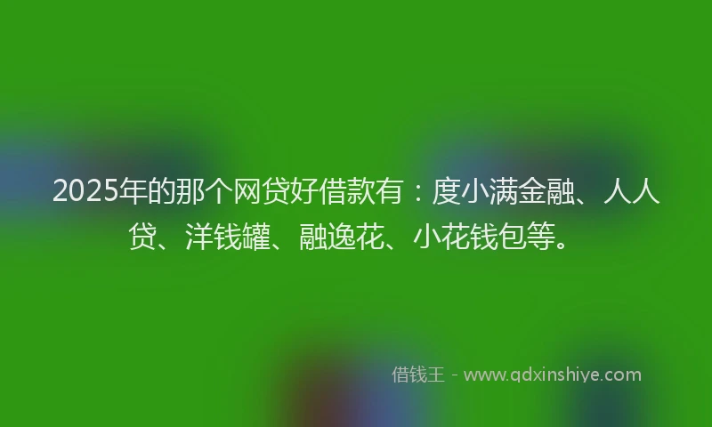 2025年的那个网贷好借款有：度小满金融、人人贷、洋钱罐、融逸花、小花钱包等。