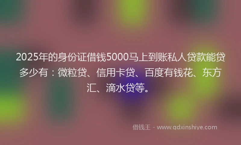 2025年的身份证借钱5000马上到账私人贷款能贷多少有：微粒贷、信用卡贷、百度有钱花、东方汇、滴水贷等。