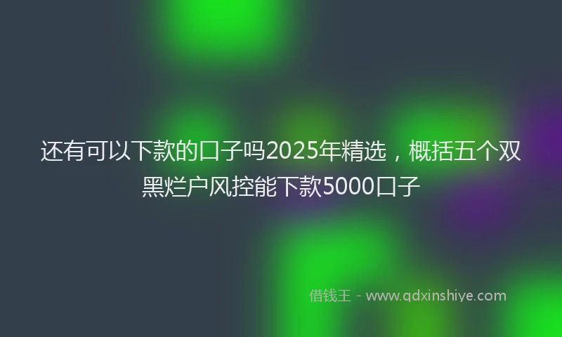 还有可以下款的口子吗2025年精选，概括五个双黑烂户风控能下款5000口子
