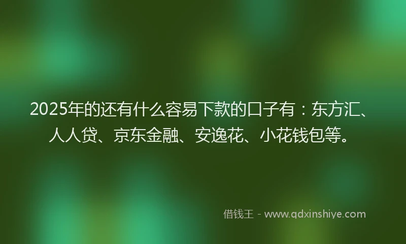 2025年的还有什么容易下款的口子有：东方汇、人人贷、京东金融、安逸花、小花钱包等。