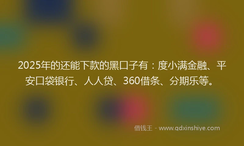 2025年的还能下款的黑口子有：度小满金融、平安口袋银行、人人贷、360借条、分期乐等。