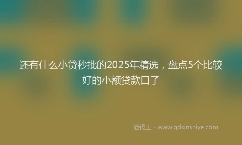 还有什么小贷秒批的2025年精选，盘点5个比较好的小额贷款口子