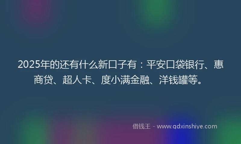 2025年的还有什么新口子有：平安口袋银行、惠商贷、超人卡、度小满金融、洋钱罐等。