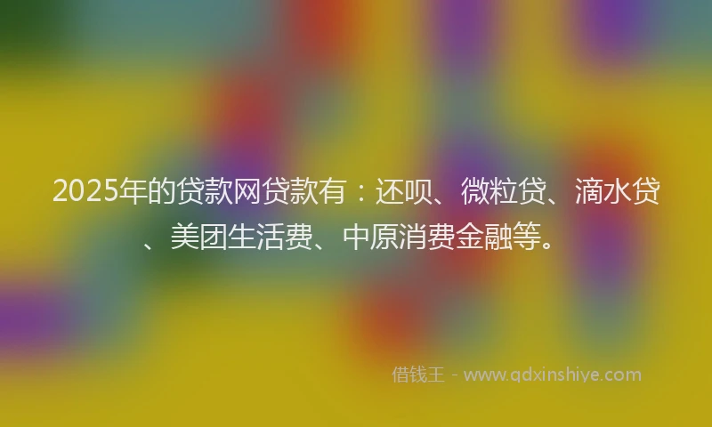 2025年的贷款网贷款有：还呗、微粒贷、滴水贷、美团生活费、中原消费金融等。