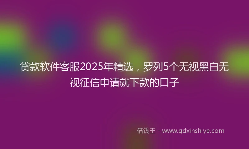 贷款软件客服2025年精选，罗列5个无视黑白无视征信申请就下款的口子