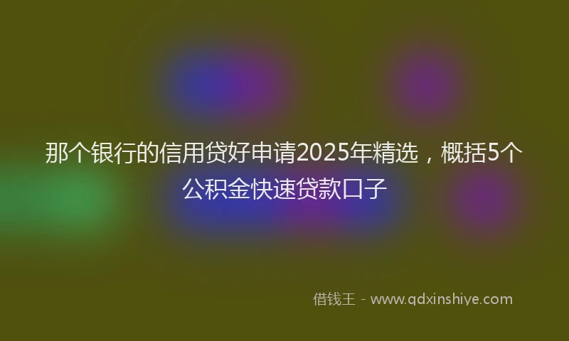 那个银行的信用贷好申请2025年精选，概括5个公积金快速贷款口子