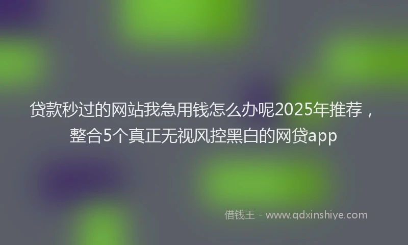 贷款秒过的网站我急用钱怎么办呢2025年推荐，整合5个真正无视风控黑白的网贷app