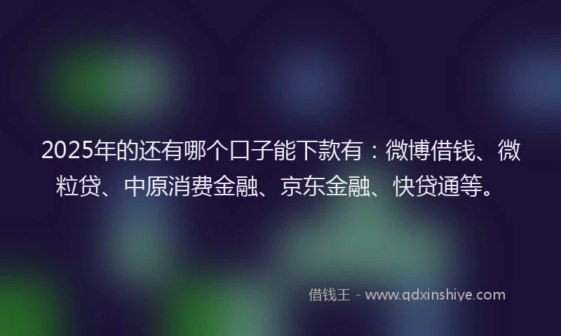 2025年的还有哪个口子能下款有：微博借钱、微粒贷、中原消费金融、京东金融、快贷通等。