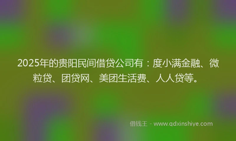 2025年的贵阳民间借贷公司有：度小满金融、微粒贷、团贷网、美团生活费、人人贷等。