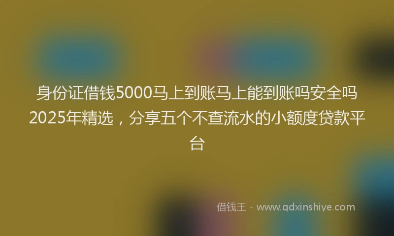 身份证借钱5000马上到账马上能到账吗安全吗2025年精选，分享五个不查流水的小额度贷款平台