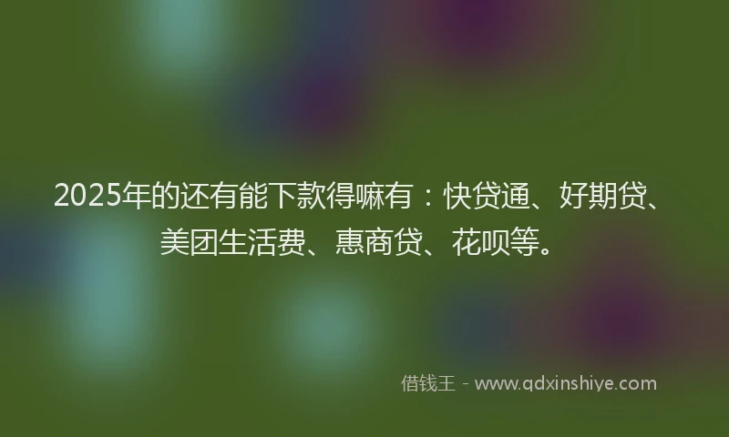 2025年的还有能下款得嘛有：快贷通、好期贷、美团生活费、惠商贷、花呗等。