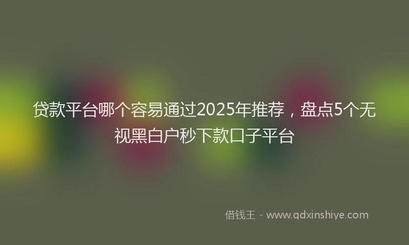 贷款平台哪个容易通过2025年推荐，盘点5个无视黑白户秒下款口子平台