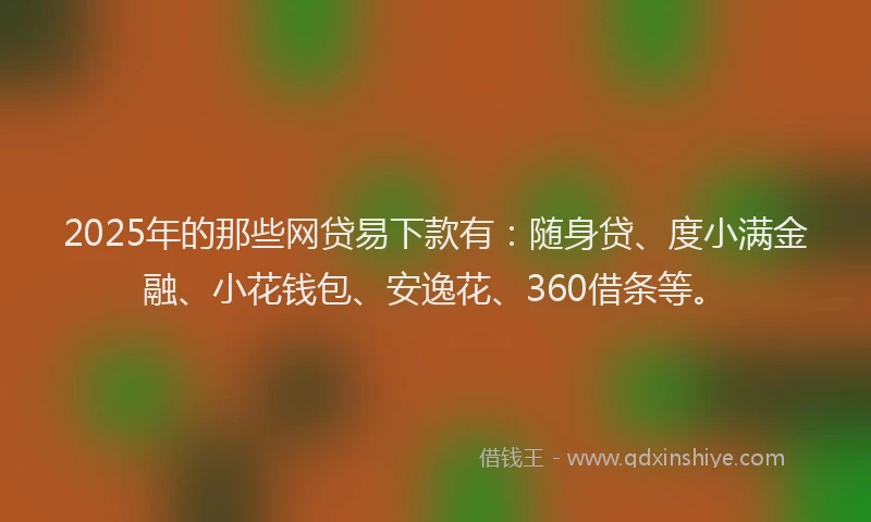 2025年的那些网贷易下款有：随身贷、度小满金融、小花钱包、安逸花、360借条等。
